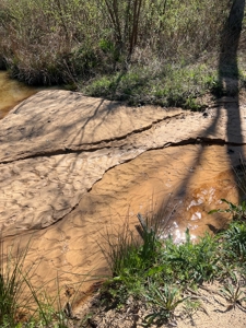Income Producing Dirt Pit with Development Potential - image 31