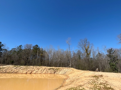 Income Producing Dirt Pit with Development Potential - image 36