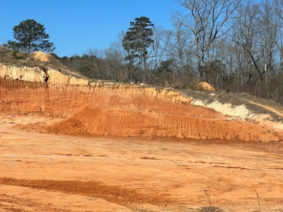 Income Producing Dirt Pit with Development Potential - image 4