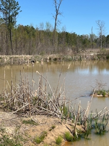 Income Producing Dirt Pit with Development Potential - image 32