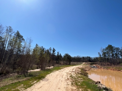 Income Producing Dirt Pit with Development Potential - image 38
