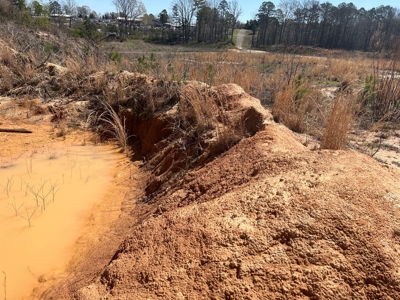 Income Producing Dirt Pit with Development Potential - image 42