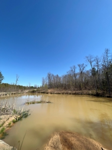 Income Producing Dirt Pit with Development Potential - image 33