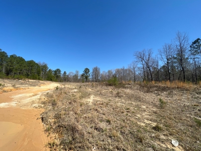 Income Producing Dirt Pit with Development Potential - image 29