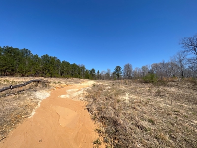 Income Producing Dirt Pit with Development Potential - image 27
