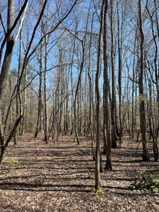 Income Producing Dirt Pit with Development Potential - image 22