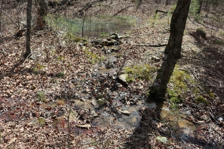 320 Acres of Wooded Land in the Ozark Mountains - image 16