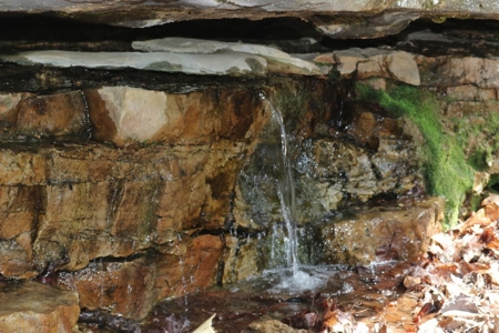 320 Acres of Wooded Land in the Ozark Mountains - image 21