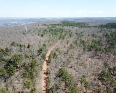 320 Acres of Wooded Land in the Ozark Mountains - image 32