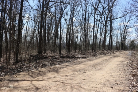 320 Acres of Wooded Land in the Ozark Mountains - image 30