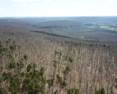 320 Acres of Wooded Land in the Ozark Mountains - image 33