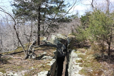 320 Acres of Wooded Land in the Ozark Mountains - image 27