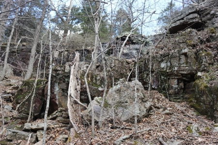 320 Acres of Wooded Land in the Ozark Mountains - image 22