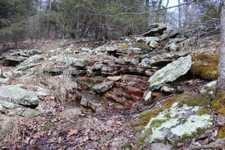 320 Acres of Wooded Land in the Ozark Mountains - image 14