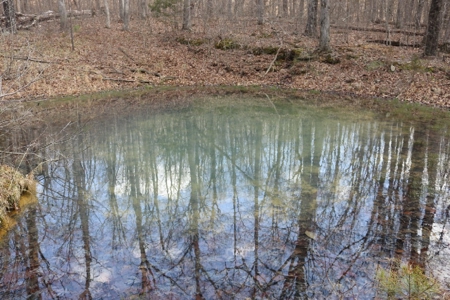 320 Acres of Wooded Land in the Ozark Mountains - image 17