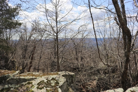 320 Acres of Wooded Land in the Ozark Mountains - image 25