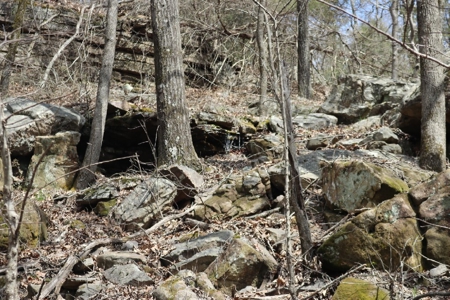 320 Acres of Wooded Land in the Ozark Mountains - image 20