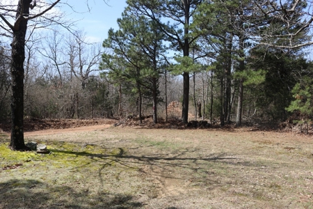 320 Acres of Wooded Land in the Ozark Mountains - image 3