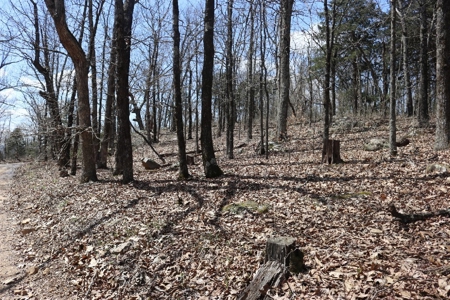 320 Acres of Wooded Land in the Ozark Mountains - image 29