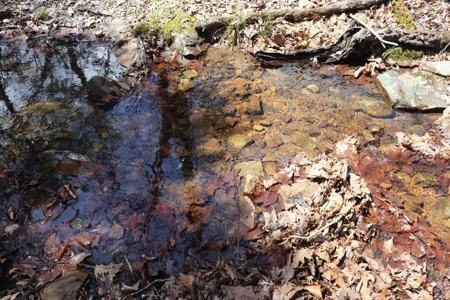 320 Acres of Wooded Land in the Ozark Mountains - image 11