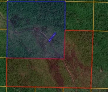 320 Acres of Wooded Land in the Ozark Mountains - image 31