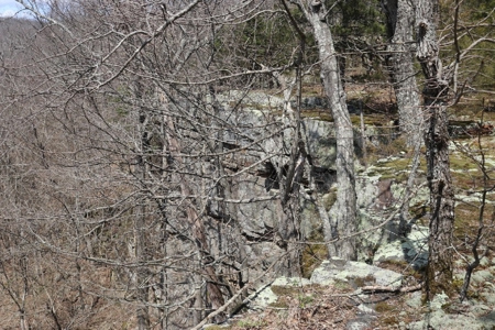 320 Acres of Wooded Land in the Ozark Mountains - image 28