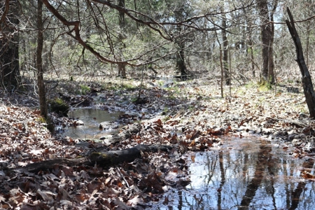 320 Acres of Wooded Land in the Ozark Mountains - image 10