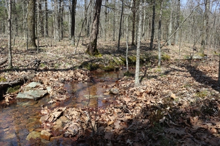 320 Acres of Wooded Land in the Ozark Mountains - image 12