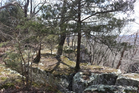 320 Acres of Wooded Land in the Ozark Mountains - image 24