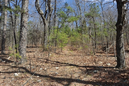 320 Acres of Wooded Land in the Ozark Mountains - image 9