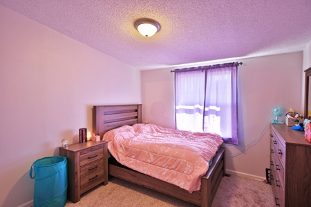 Home For Sale in Western Slope of Colorado - image 17