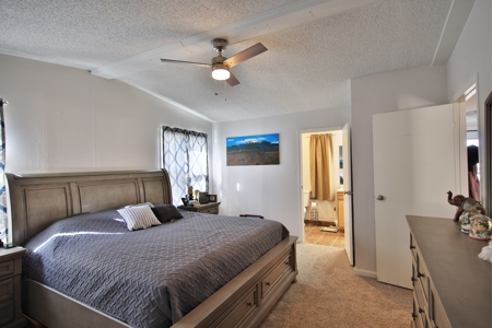 Home For Sale in Western Slope of Colorado - image 13
