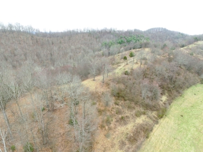 Farm Land For Sale In Marion VA - image 24