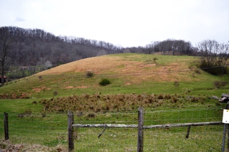 Farm Land For Sale In Marion VA - image 14