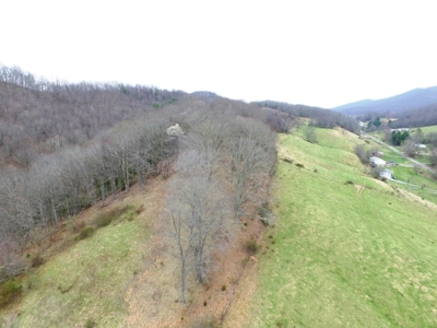 Farm Land For Sale In Marion VA - image 26
