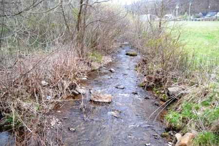 Farm Land For Sale In Marion VA - image 5