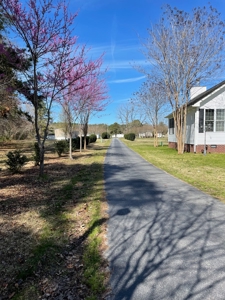 Custom Home and Country Living in Windsor, VA - image 7