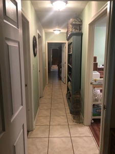 Custom Home and Country Living in Windsor, VA - image 1