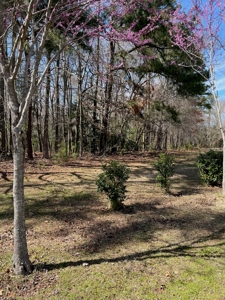 Custom Home and Country Living in Windsor, VA - image 8