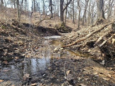 Land For Sale - image 6