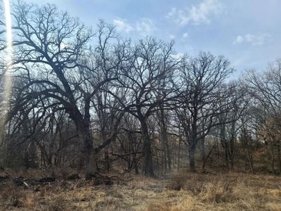Land For Sale - image 17