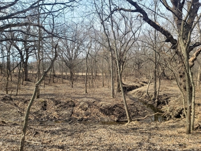 Land For Sale - image 30