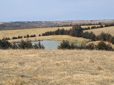 Land For Sale - image 7
