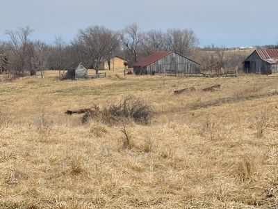 Land For Sale - image 28