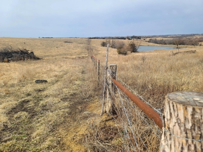 Land For Sale - image 1