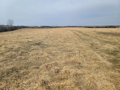 Land For Sale - image 4