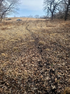 Land For Sale - image 10