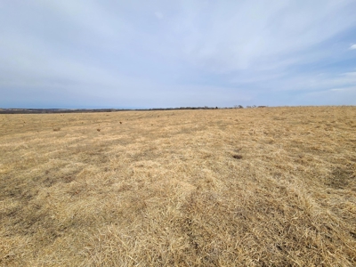 Land For Sale - image 14