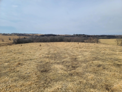 Land For Sale - image 2
