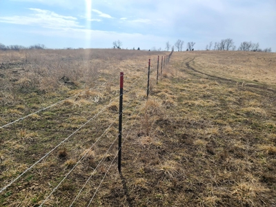 Land For Sale - image 3
